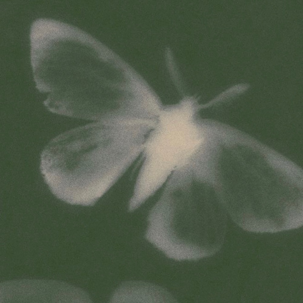 Meet your Posher, Sophie